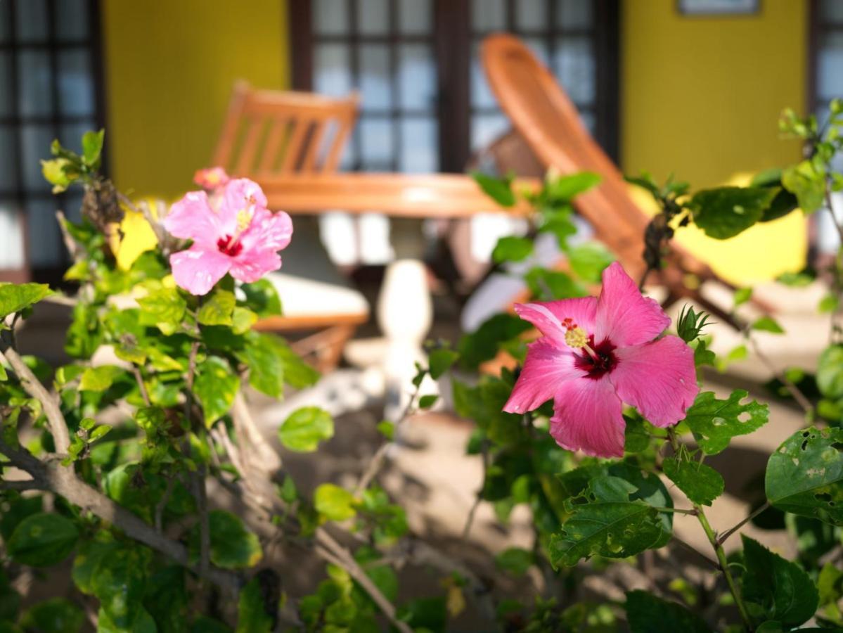 Las Flores Beachside Hotel Catmon Exterior foto